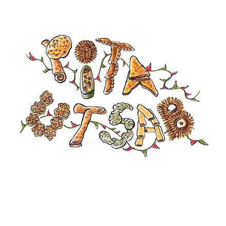illustratie bij activiteit